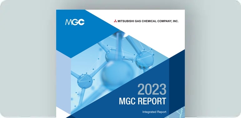 figure: the image of MGC report (integrated report)