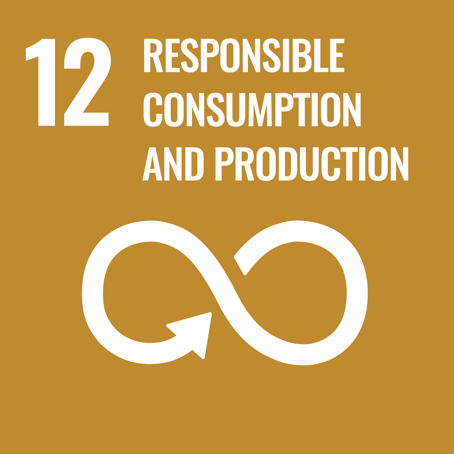 pict: SDGs goal12  Responsible consumption and production