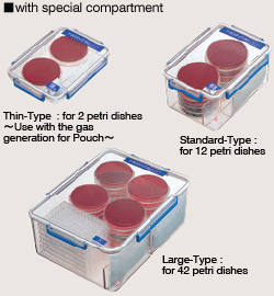 Photo: Examples of cultivation using rectangular jars with compartment