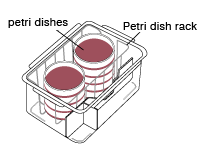 Figure: Petri dish rack with petri dishes