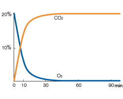 Graph: AnaeroPack™-Anaero absorbs O2 and generates CO2.