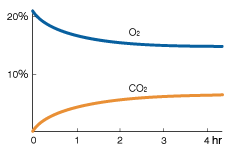 Graph: Composition change of the gas caused by AnaeroPack™-CO2