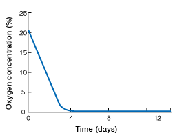 Graph: as time passes, oxygen is absorbed.
