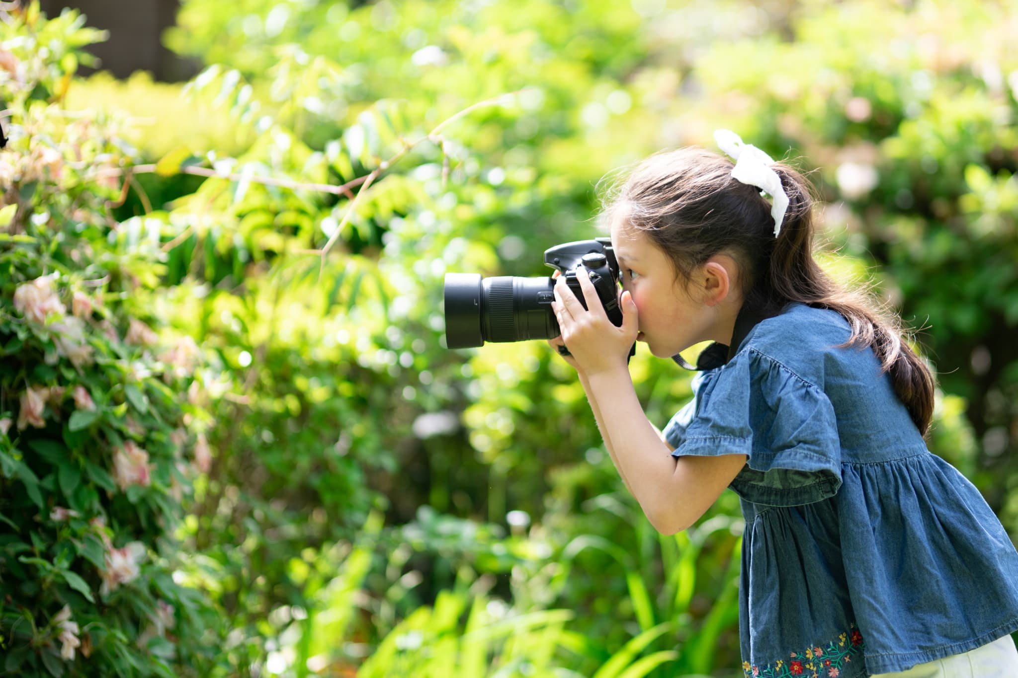Camera