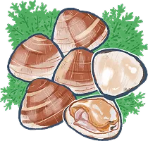 ハマグリのイラスト