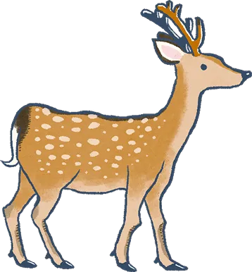 角のある鹿が横向きに立つ様子を、描いたイラスト