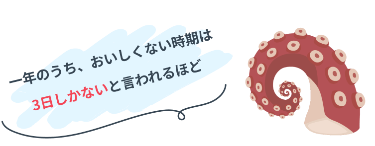 タコのイラスト
