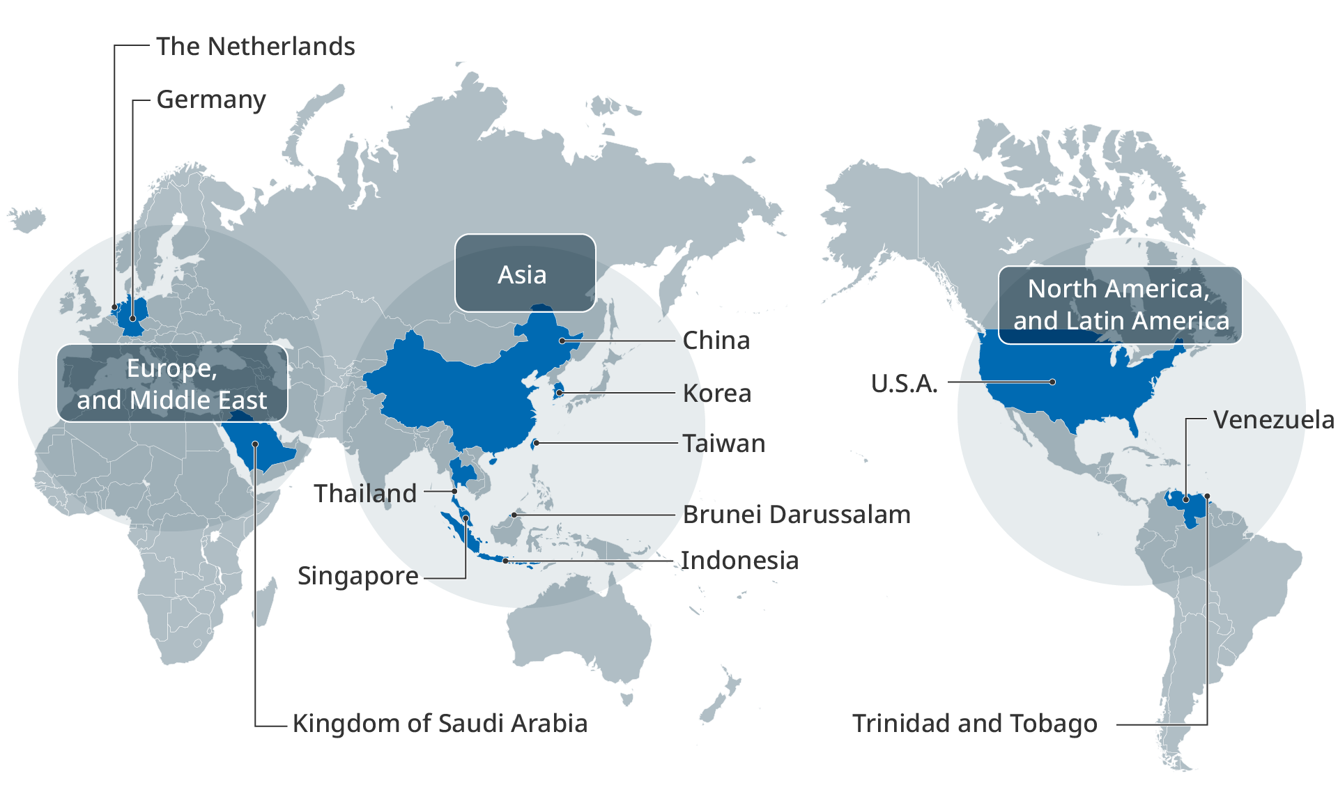 figure:the map of overseas group locations. It shows where the bases are on the world map.