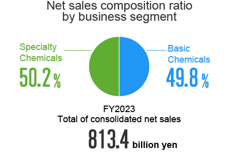 Net sales composition ratio by business segment