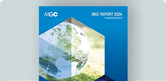 figure: the image of MGC report (integrated report)