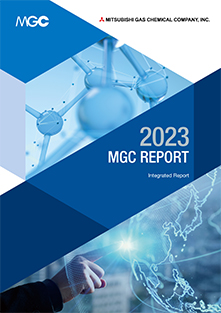 Photo: the front cover of MGC report(integrated report).
