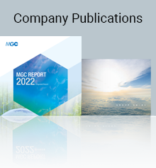 Company Publications