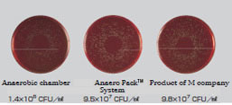 Photo: Cultivation Results
											(Finegoldia magna )