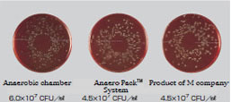 Photo: Cultivation Results
											(necrophorum)