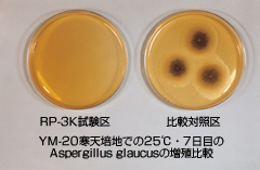 Photo: mold prevention(with RP-K and without RP-K)