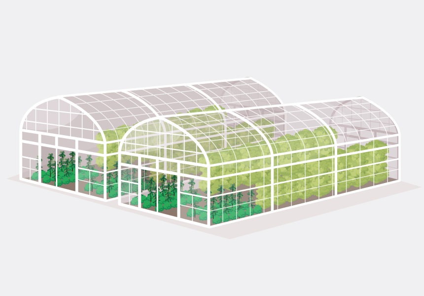 Illustration: plastic greenhouses