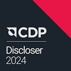 logo: CDP DISCLOSER 2022