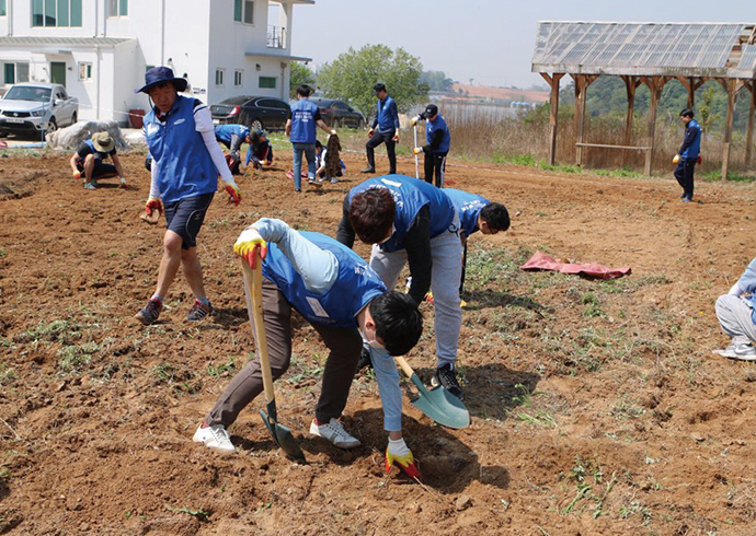 photo: Starting a community vegetable garden (South Korea)