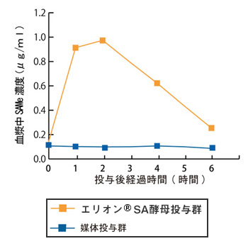 グラフ：エリオン®SA投与により、SAMeが吸収されていることを示している。