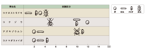 図：殺虫率100%に要する脱酸素剤包装の所要日数を害虫の種類ごとに示している。