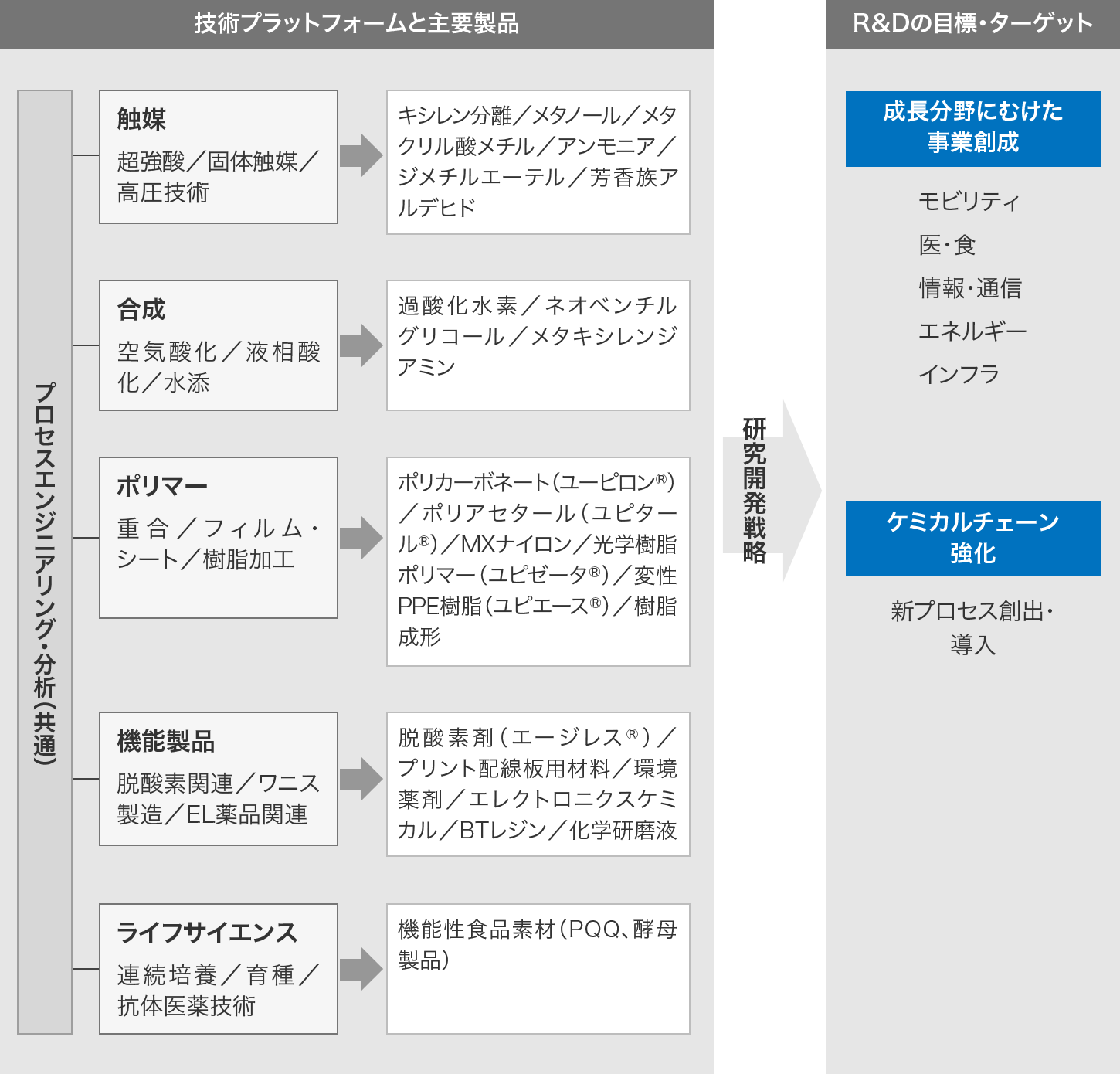 図：研究開発戦略。技術プラットフォームと主要製品、R&Dの目標・ターゲットの関係を示す。