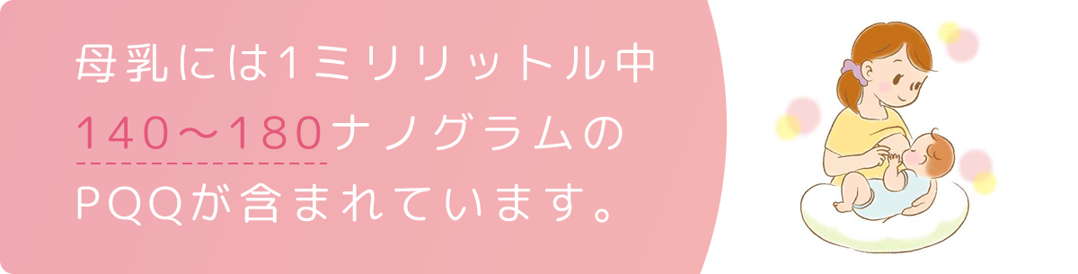 母乳には1ミリリットル中140～180ナノグラムのPQQが含まれています。