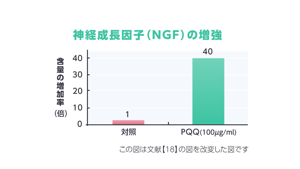 神経成長因子の増強