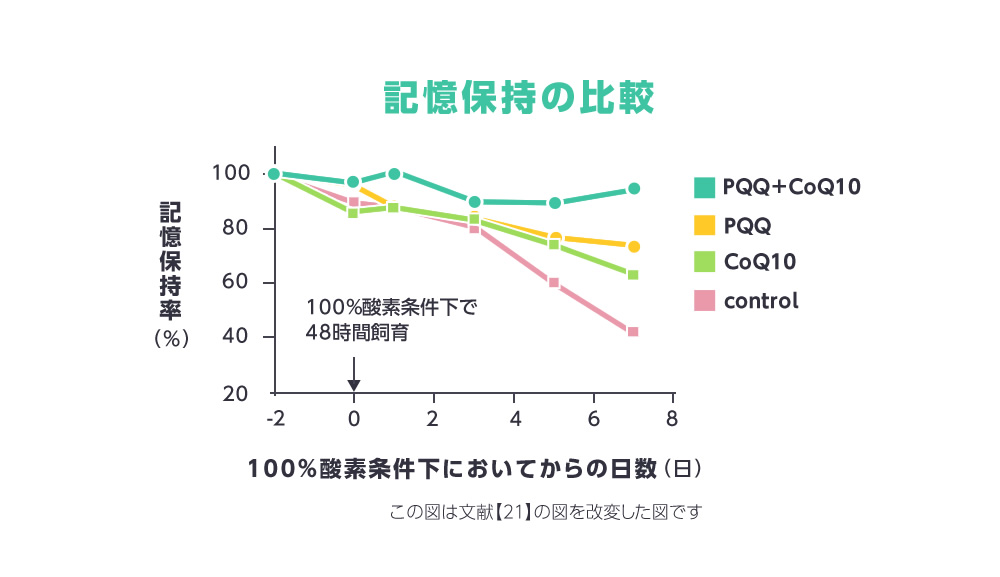 記憶保持の比較