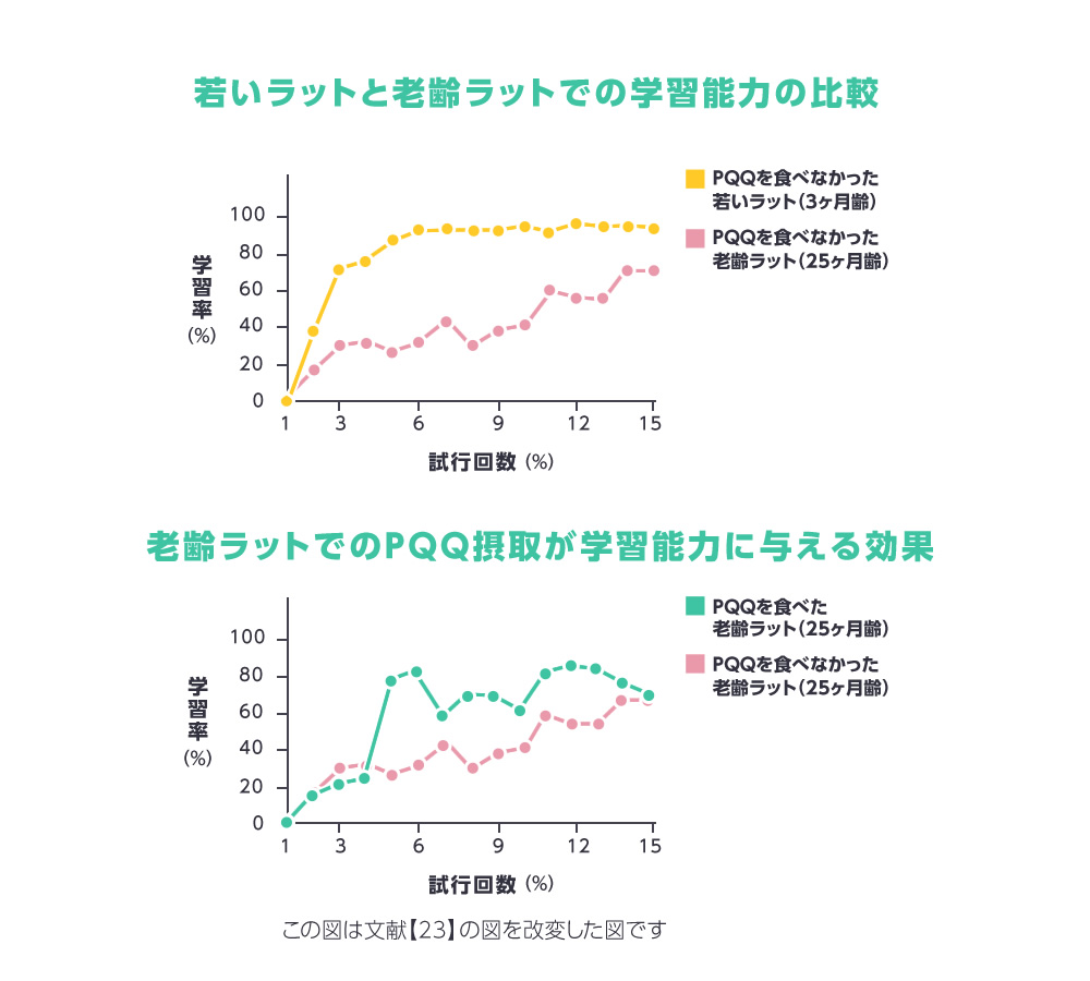 学習能力の比較