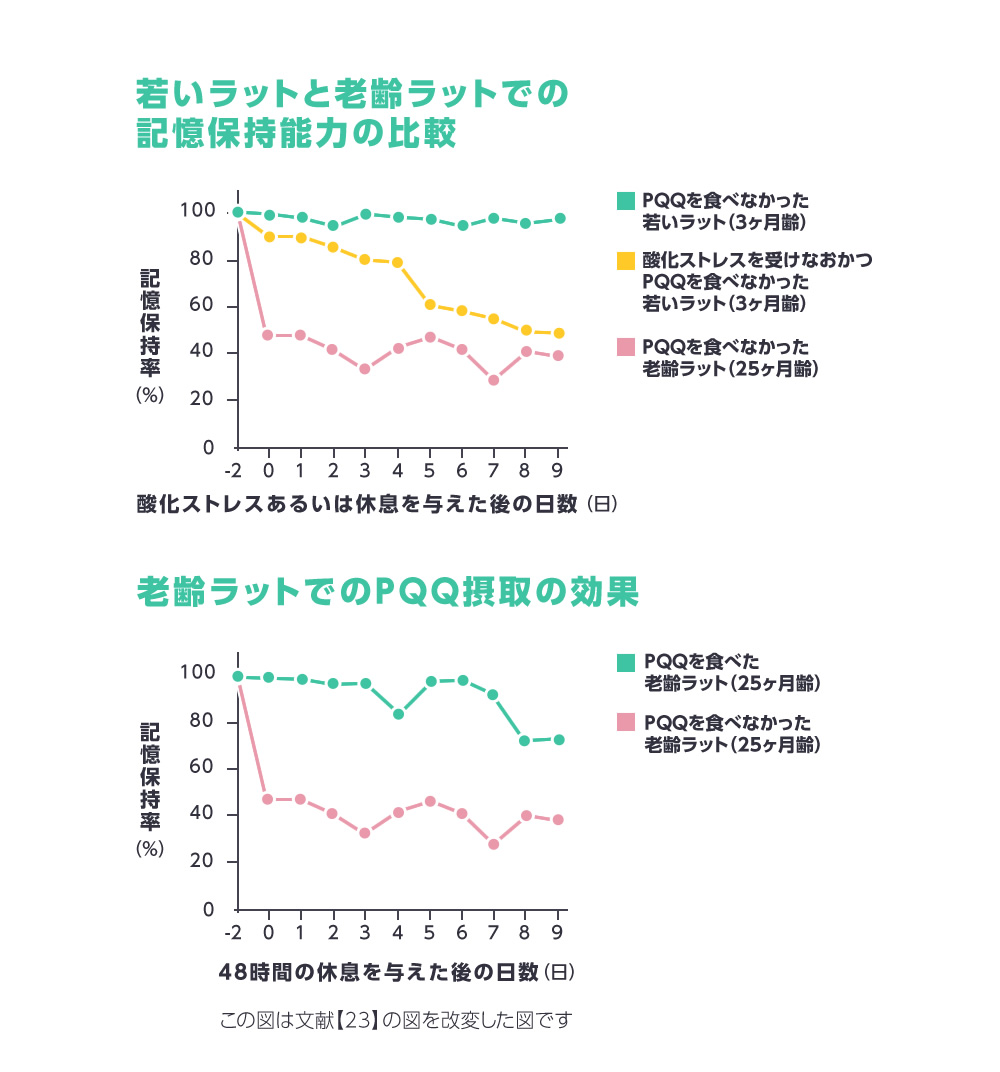 記憶保持の比較