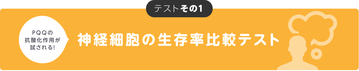 神経細胞の生存率比較テスト