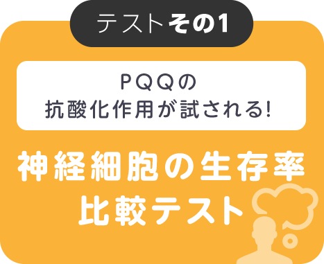 神経細胞の生存率比較テスト