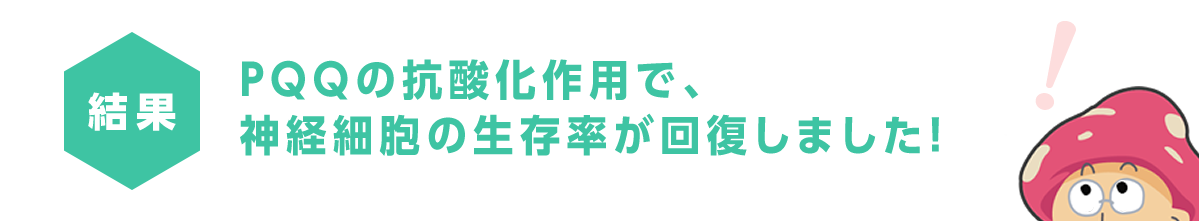 PQQの抗酸化作用で、神経細胞の生存率が回復しました！