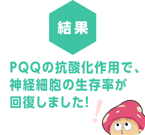 PQQの抗酸化作用で、神経細胞の生存率が回復しました！