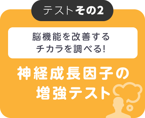 神経成長因子の増強テスト