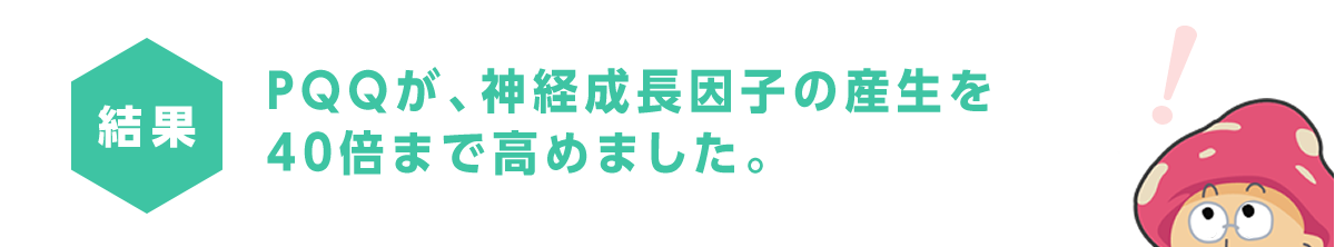 PQQが、神経成長因子の産生を40倍まで高めました