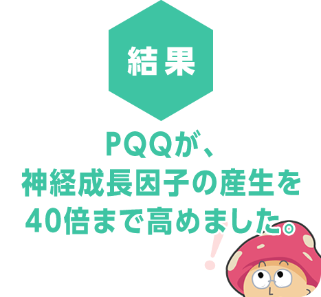 PQQが、神経成長因子の産生を40倍まで高めました