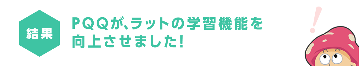 PQQが、ラットの学習機能を向上させました！