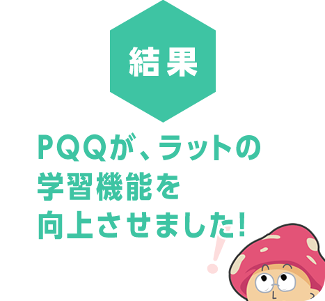 PQQが、ラットの学習機能を向上させました！